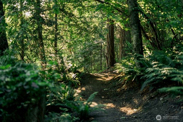 a backyard of a house with lots of trees
