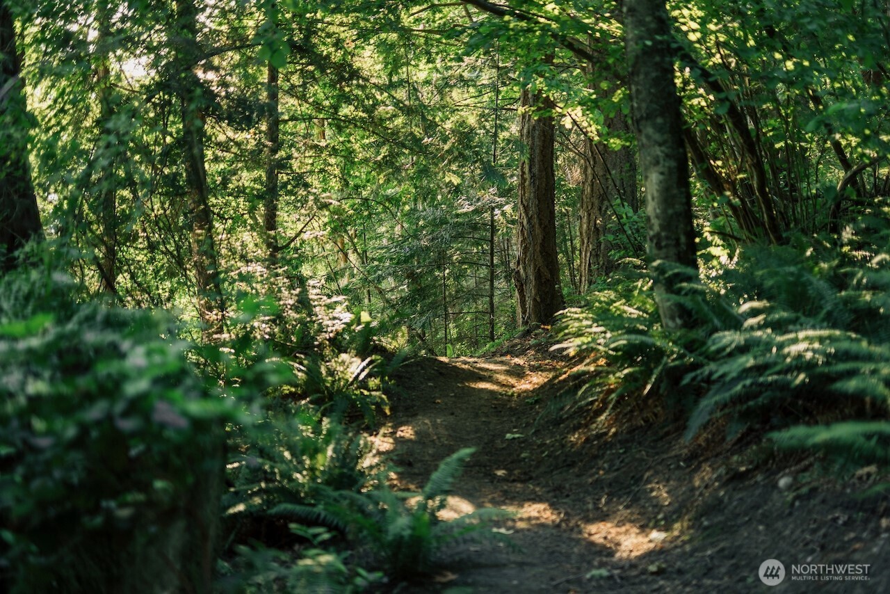 251 Arbel Way Bellingham, WA 98229 - Photo 7 of 34 a backyard of a house with lots of trees