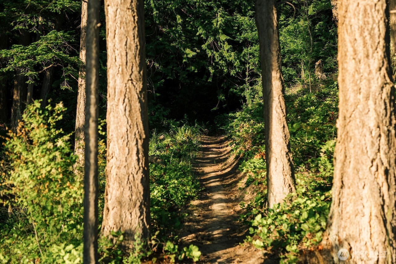 251 Arbel Way Bellingham, WA 98229 - Photo 8 of 34 a view of a garden