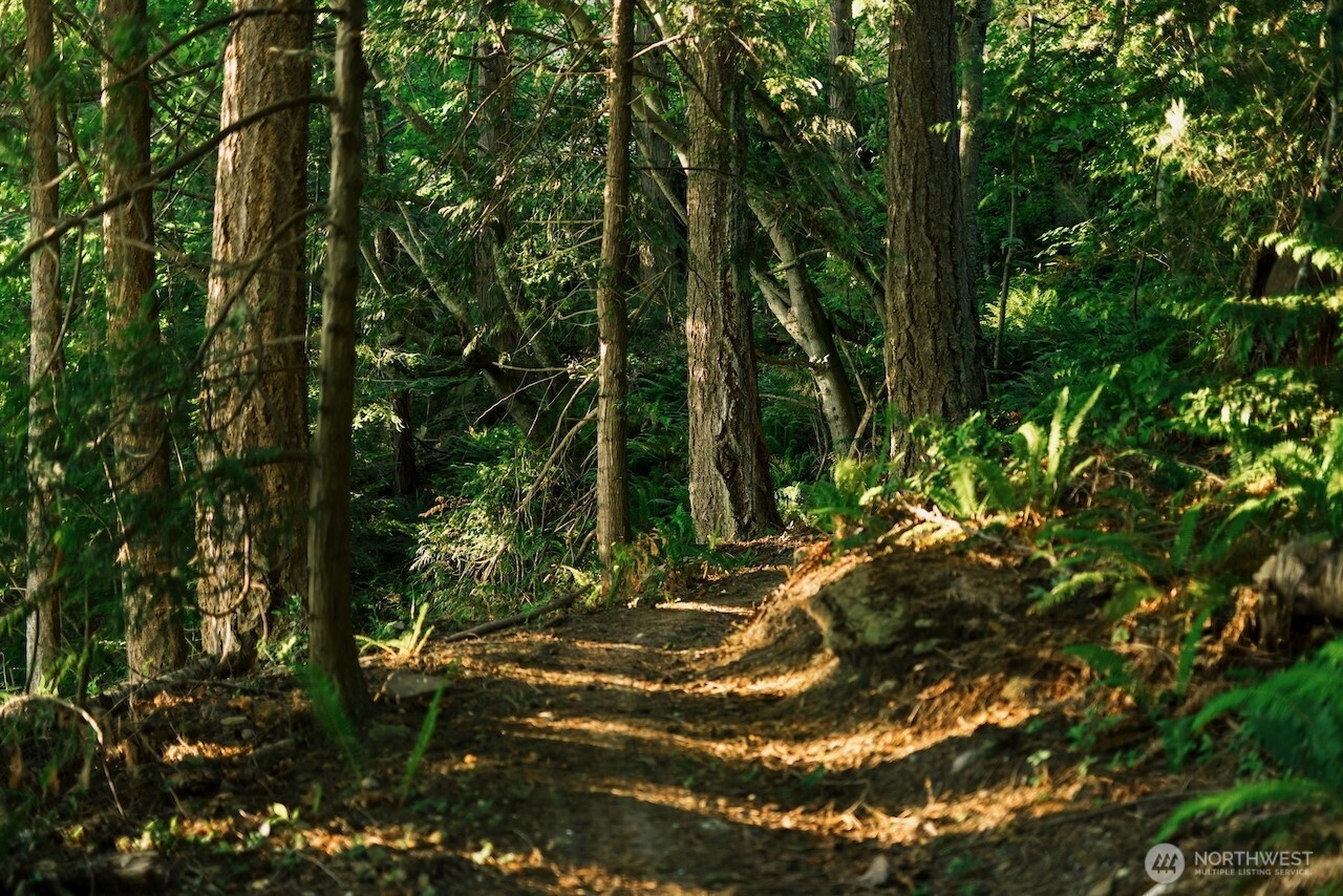 251 Arbel Way Bellingham, WA 98229 - Photo 10 of 34 a view of tree