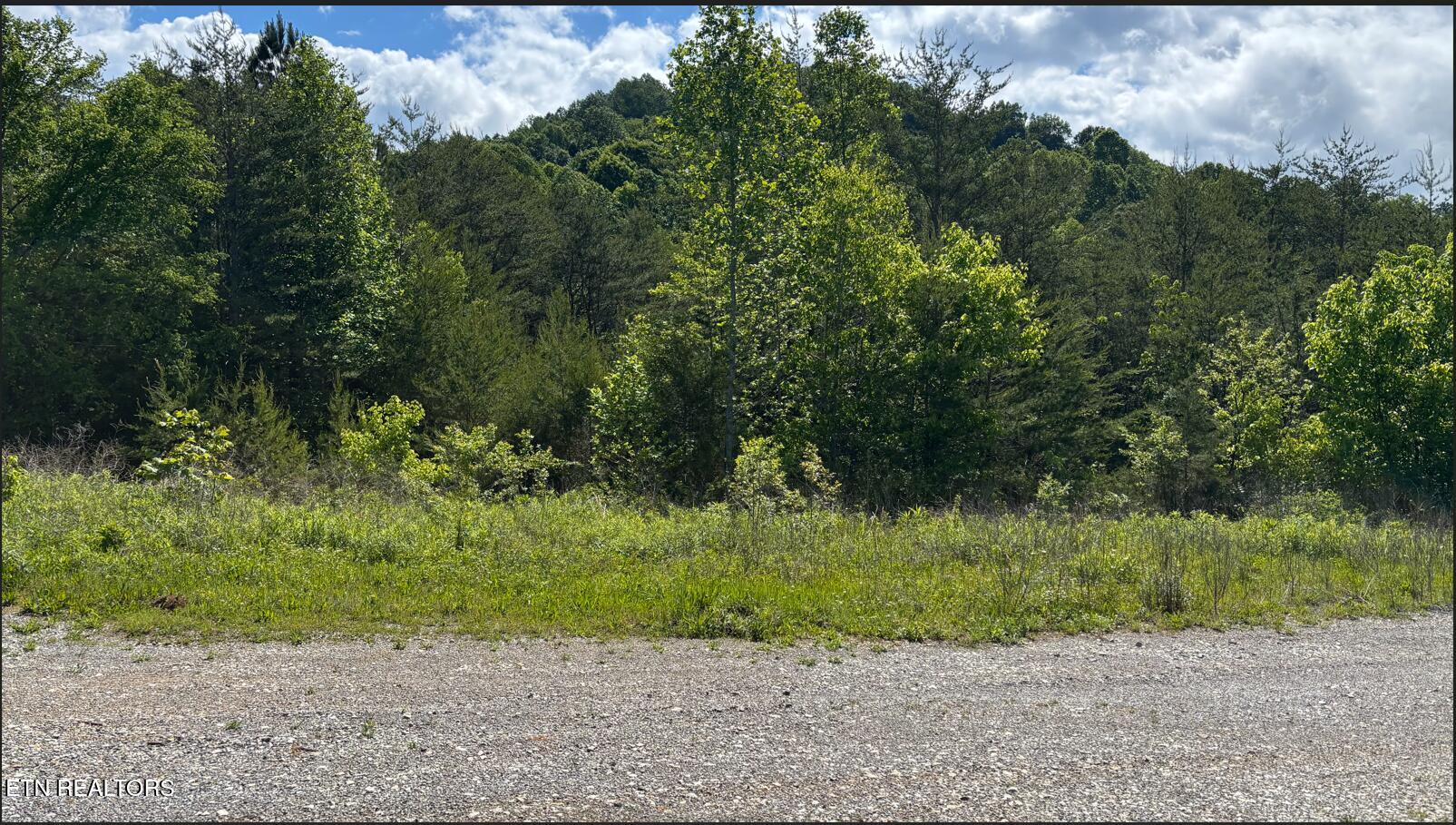 235 Acorn Gap Road Sweetwater, TN 37874 - Photo 8 of 11 eighth