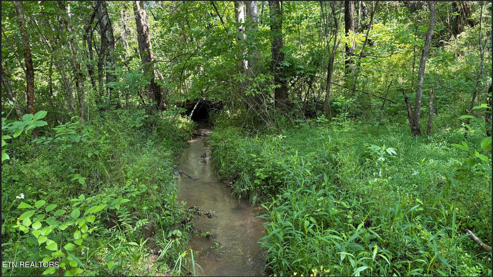 235 Acorn Gap Road Sweetwater, TN 37874 - Photo 9 of 11 Screenshot 2025-05-05 112655