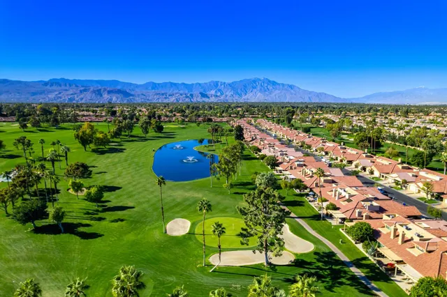 a view of a big yard with plants and a large trees