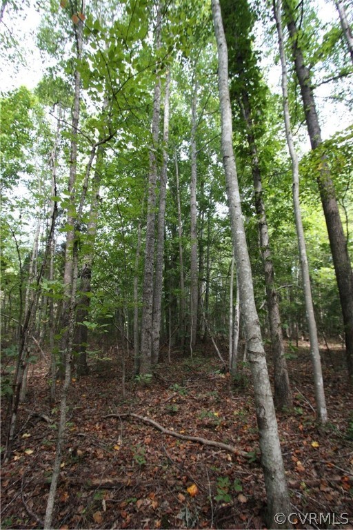0 High Rock Road Cumberland, VA 23040 - Photo 14 of 17 a view of a forest with trees