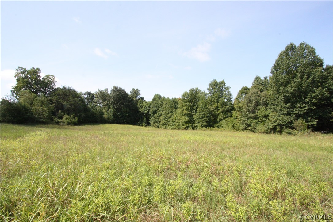 0 High Rock Road Cumberland, VA 23040 - Photo 17 of 17 a view of outdoor space and yard