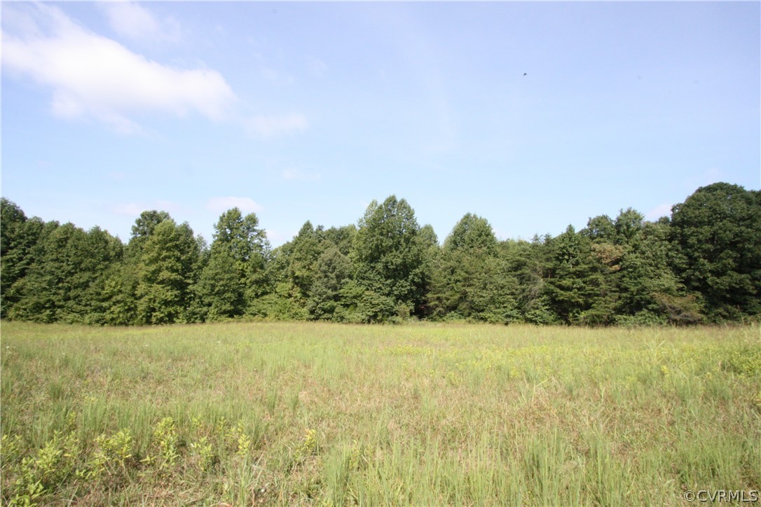 0 High Rock Road Cumberland, VA 23040 - Photo 4 of 17