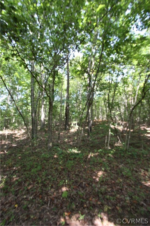 0 High Rock Road Cumberland, VA 23040 - Photo 7 of 17 a view of outdoor space and trees