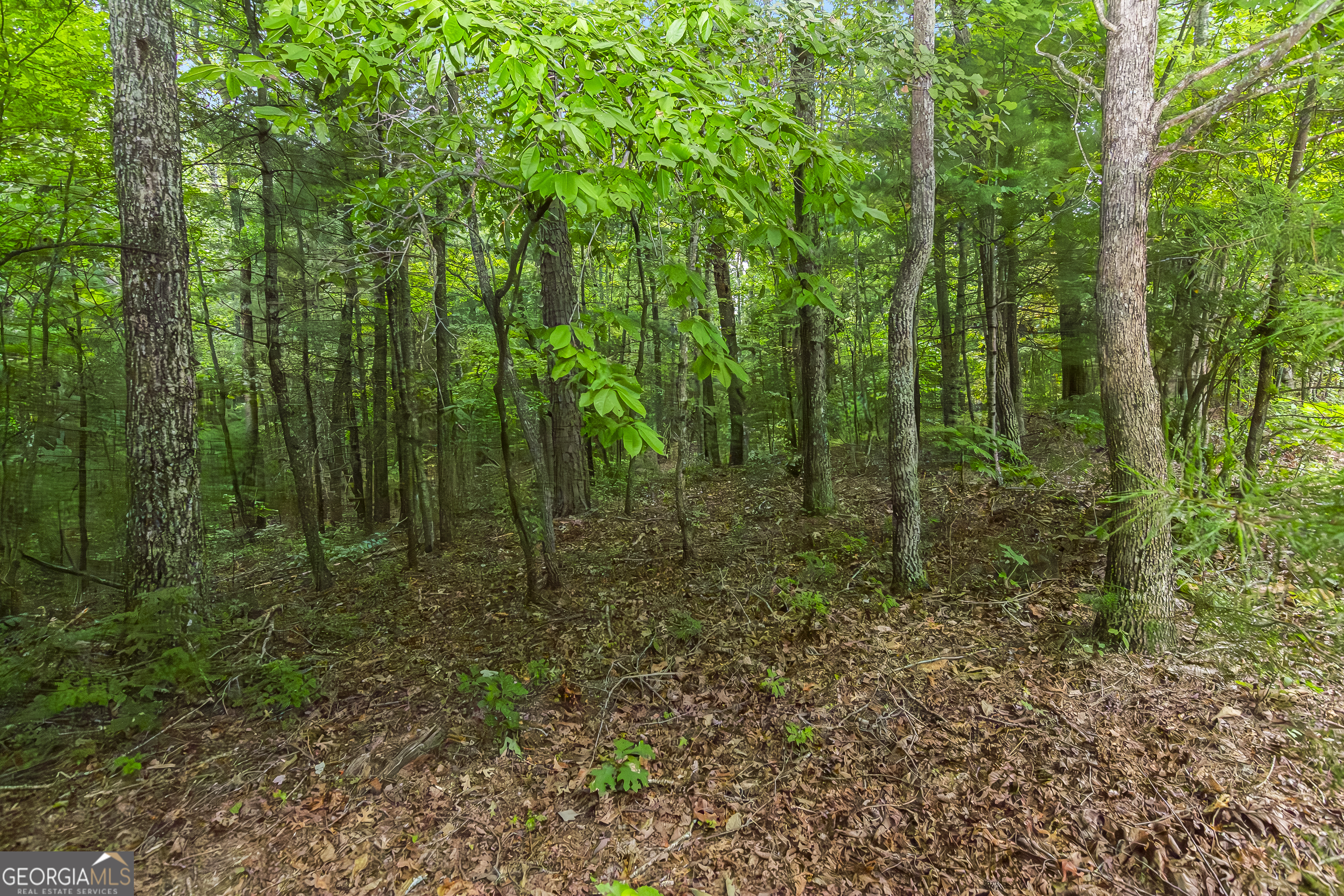 5-6 Abbott Mill Road Ellijay, GA 30540 - Photo 1 of 1 Gallery Image 1