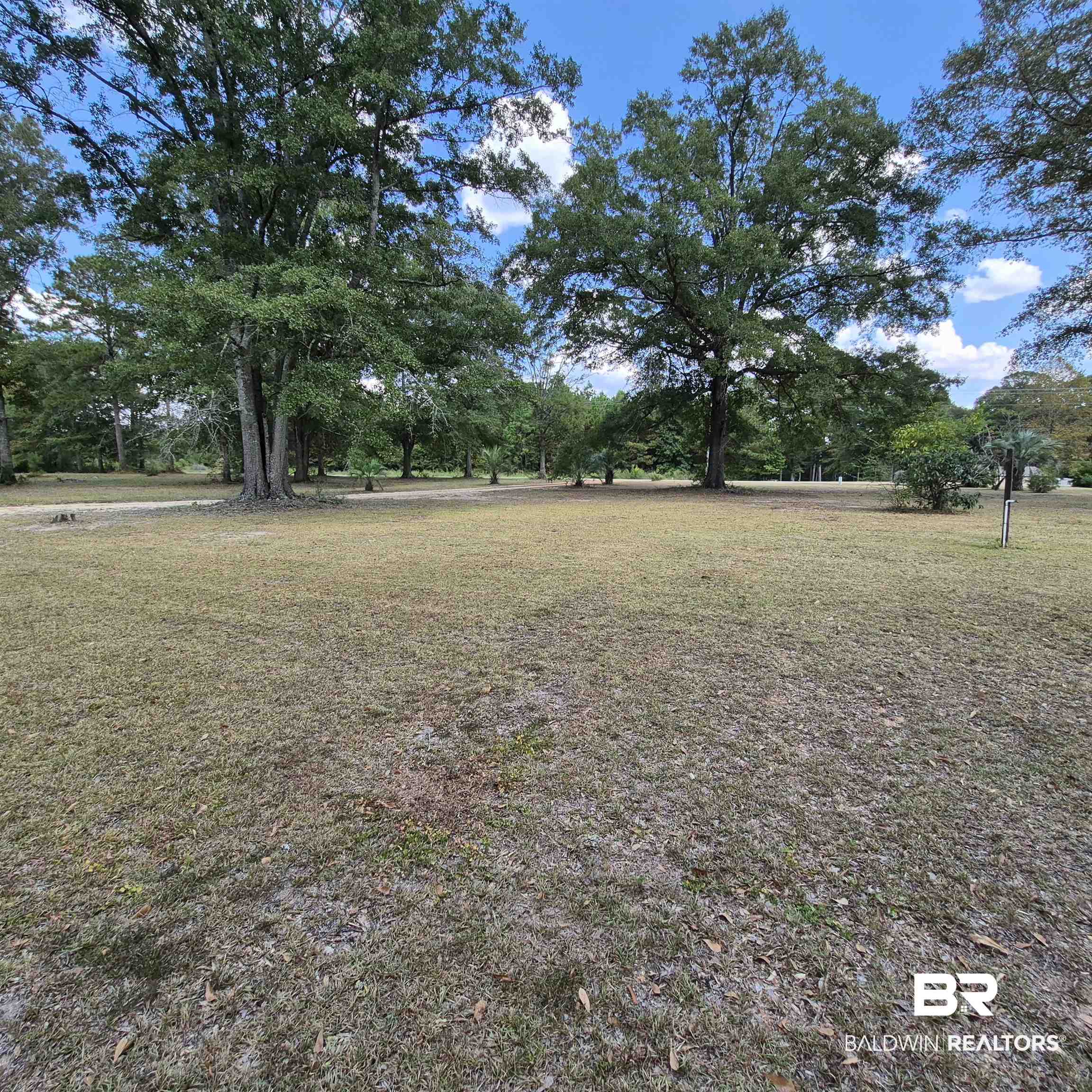 4790 Brooklyn Road Evergreen, AL 36401 - Photo 25 of 30 View of grassy yard