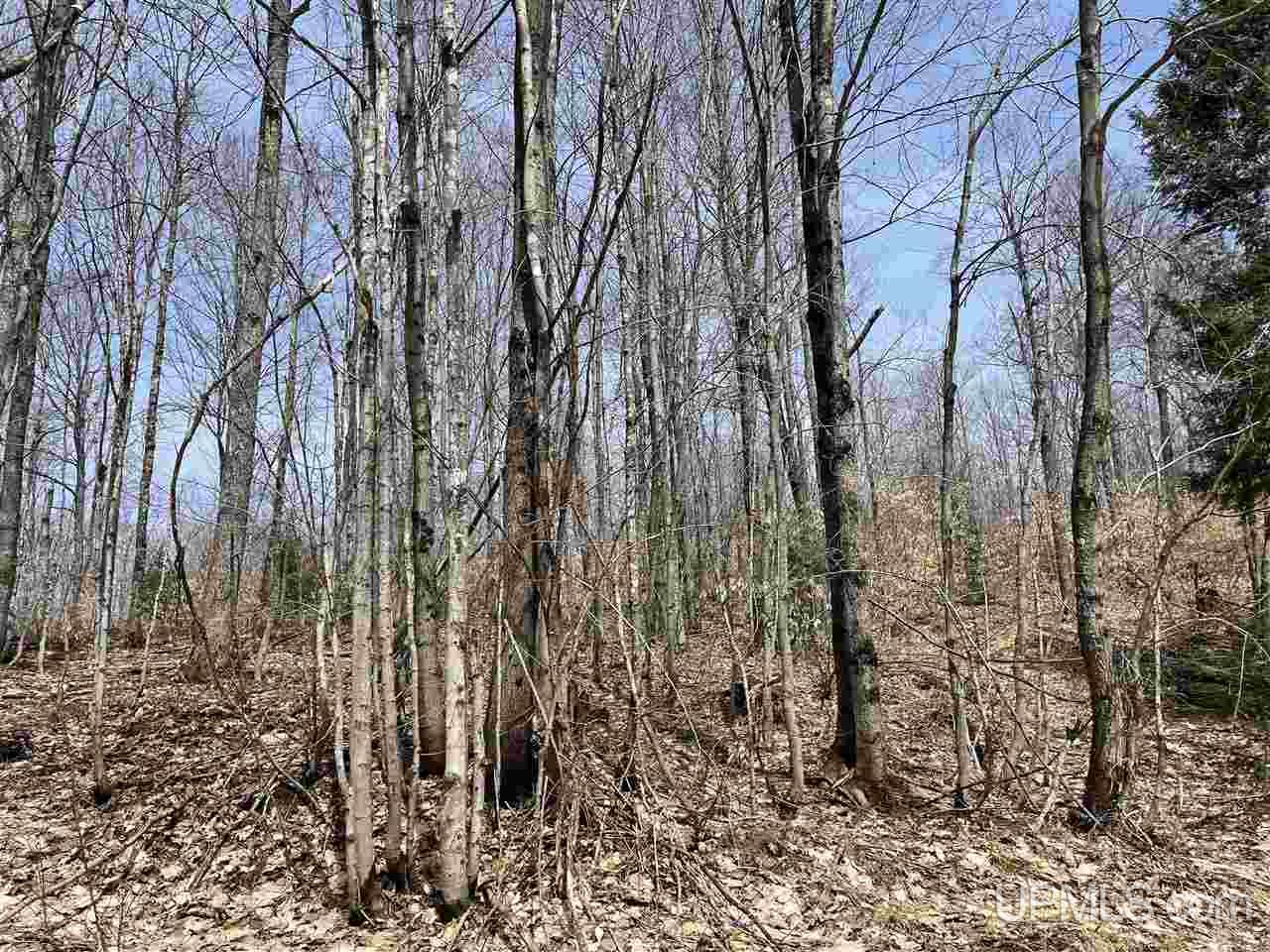0 Old Seney Road Seney, MI 49883 - Photo 26 of 31