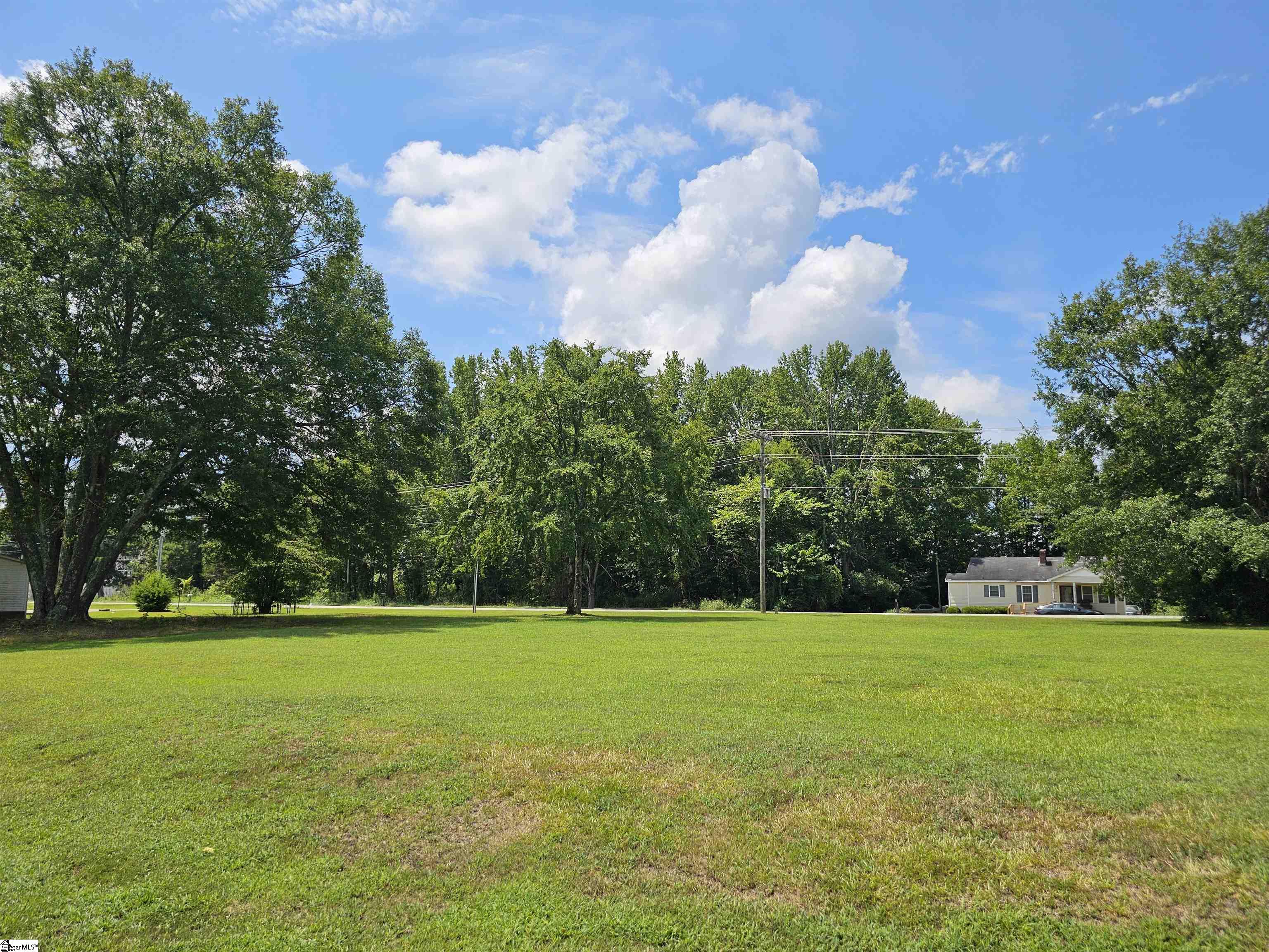 0 Poplar Street Clinton, SC 29325 - Photo 4 of 9