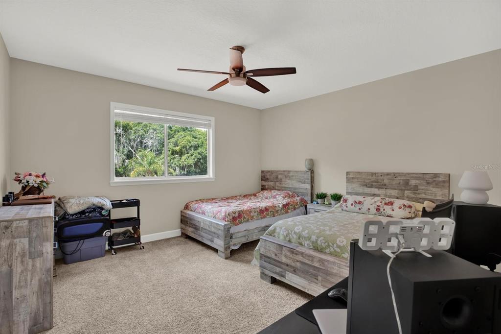 9137 Creedmoor Lane New Port Richey, FL 34654 - Photo 32 of 62