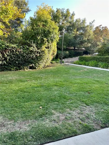 a view of a field of grass and trees