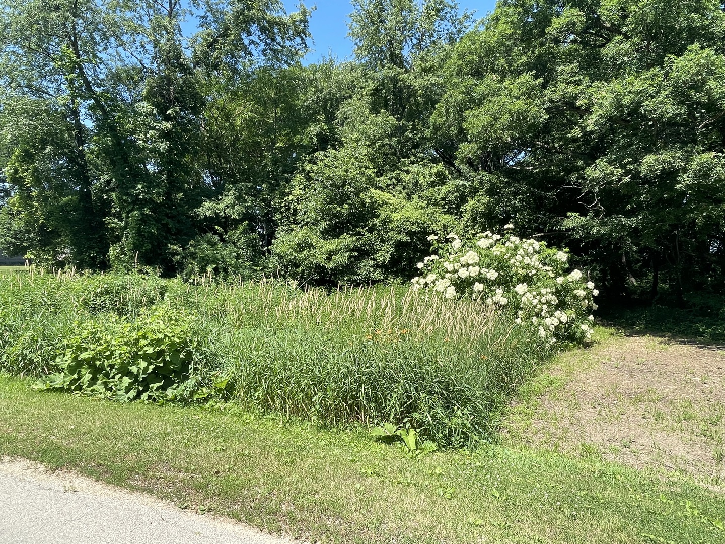 Undisclosed Address Genoa, IL 60135 - Photo 1 of 1 a view of a garden