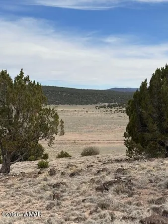 $10,000 | 38 Cr 8250 Concho Az 85924, Show Low, AZ 85901