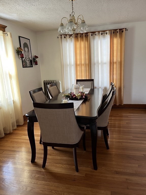 111 Wilber Street Springfield, MA 01104 - Photo 7 of 26 a view of a dining room with furniture window and wooden floor