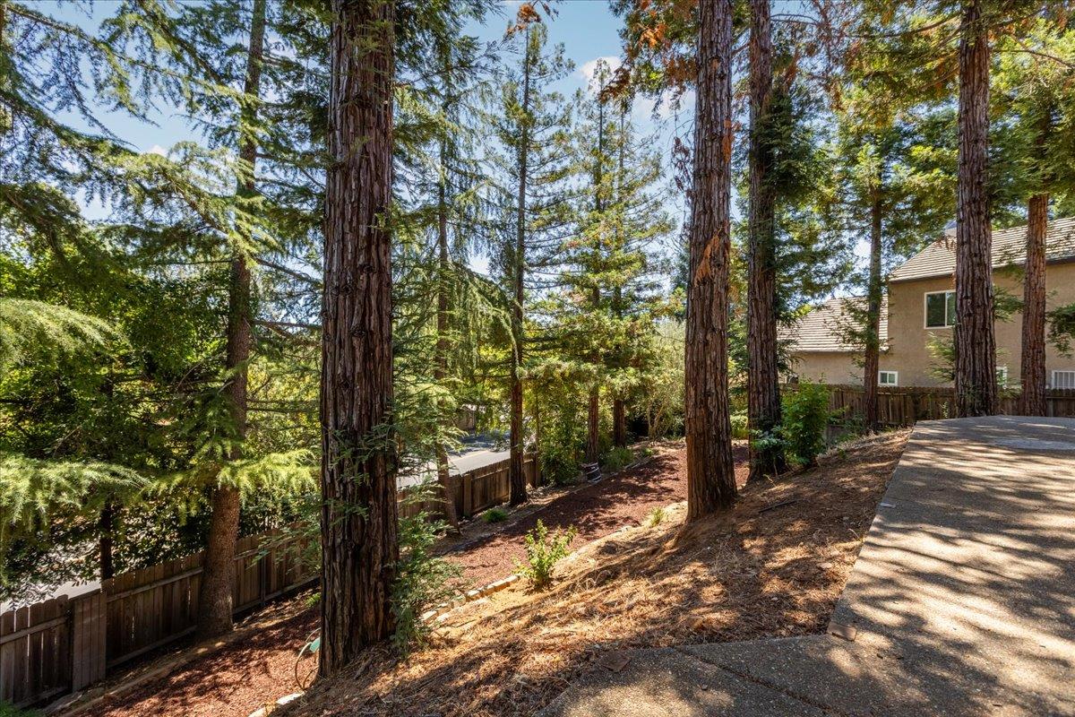 1045 Fox Run Court Auburn, CA 95603 - Photo 23 of 26