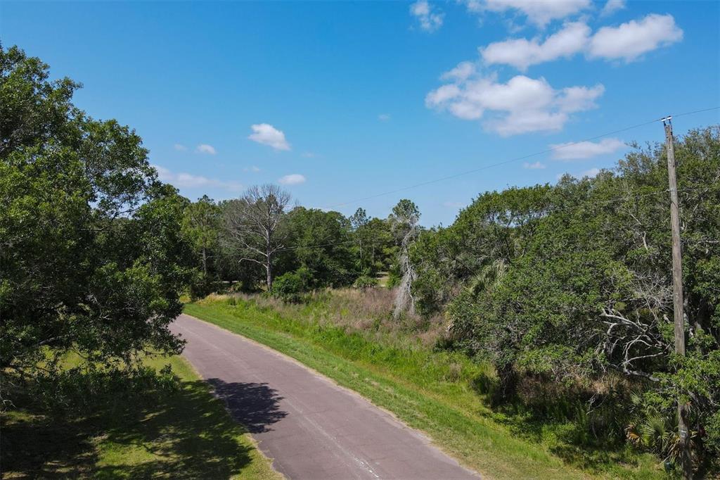 1729 Shenandoah Road Wimauma, FL 33598 - Photo 11 of 22