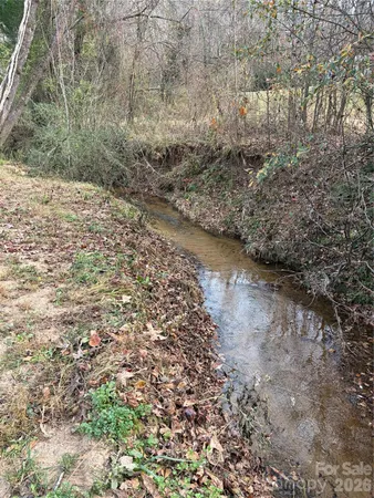a view of a yard with plants and wooden fence