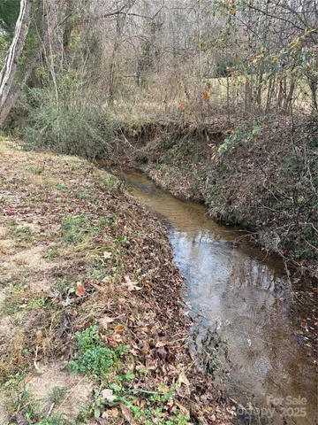 a view of a yard with plants and wooden fence