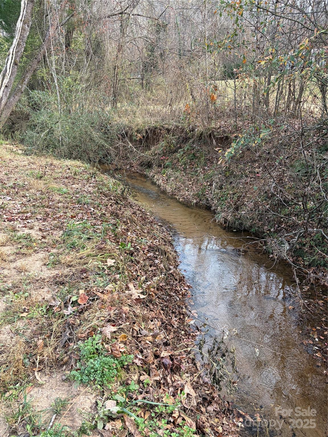 825 Maple Creek Road Rutherfordton, NC 28139 - Photo 6 of 6 a view of a yard with plants and wooden fence