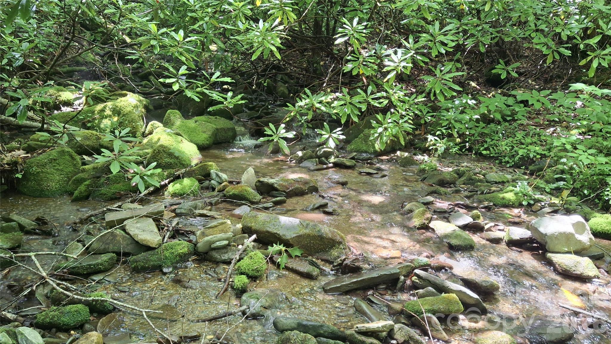 0 Dry Creek Road Robbinsville, NC 28771 - Photo 1 of 20