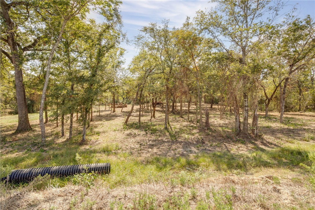 7730 Mary's Way Bryan, TX 77808 - Photo 3 of 10 a view of yard with trees
