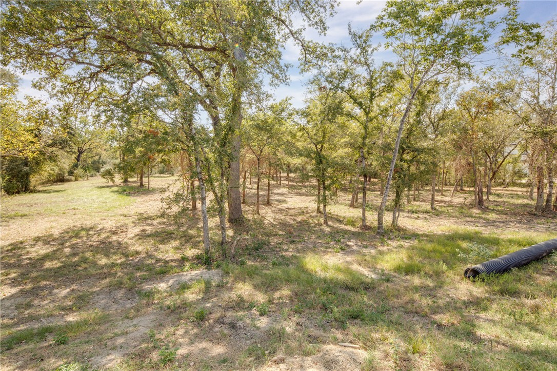 7730 Mary's Way Bryan, TX 77808 - Photo 4 of 10 a view of yard with trees