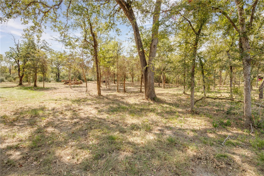 7730 Mary's Way Bryan, TX 77808 - Photo 5 of 10 a view of yard with trees