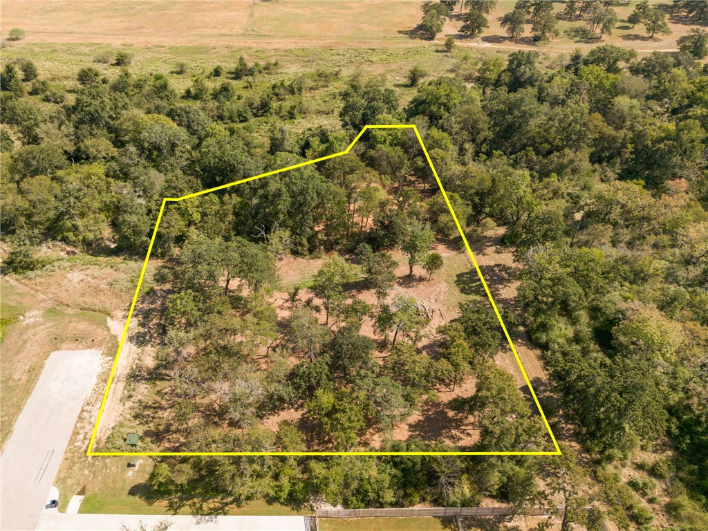 7730 Mary's Way Bryan, TX 77808 - Photo 7 of 10 a view of a yard