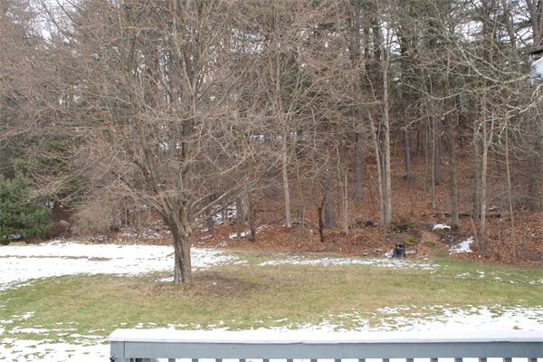 5 Stagecoach Road Medfield, MA 02052 - Photo 19 of 21 Gallery Image 19