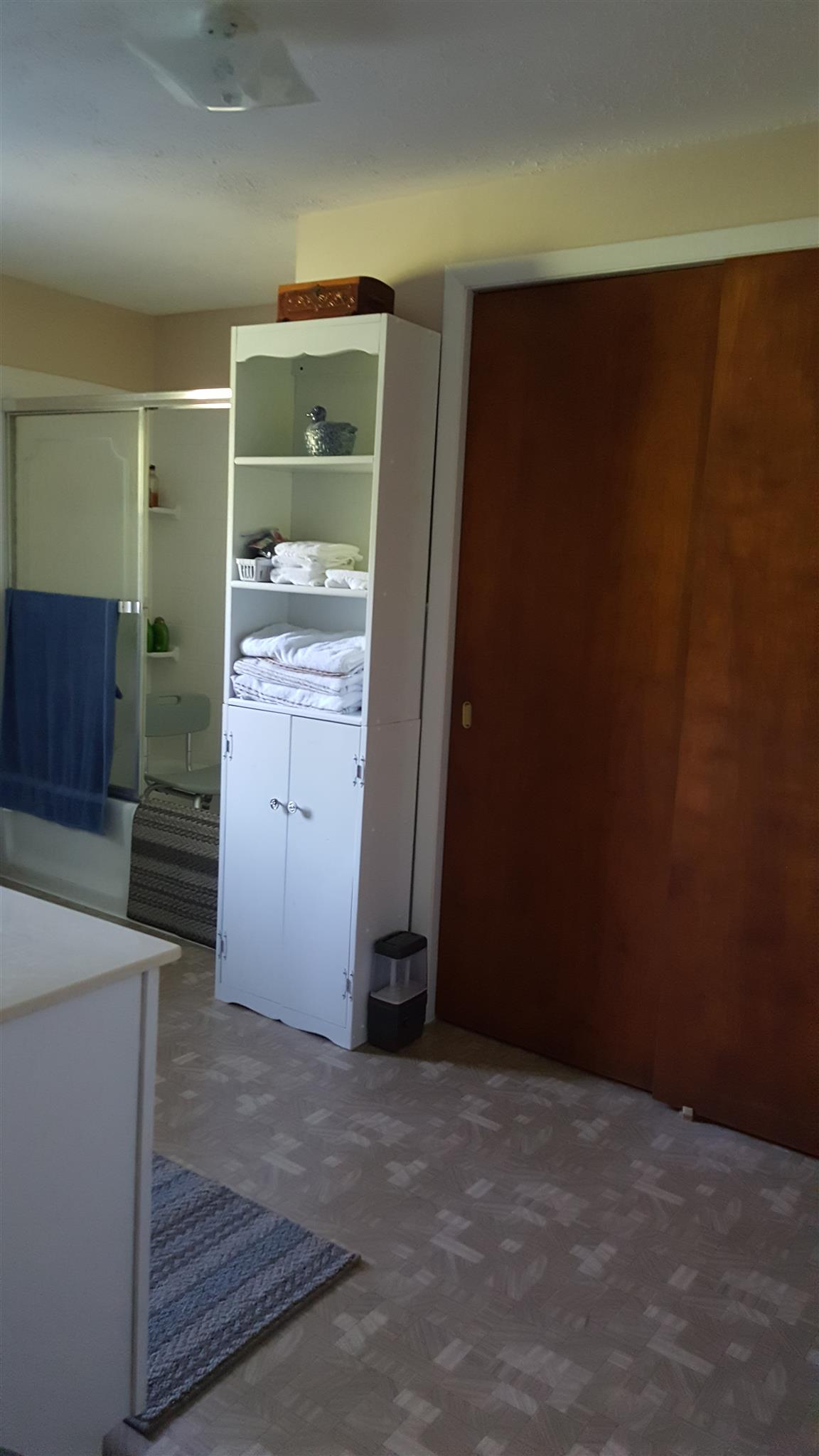 38 Genson Road Lawrenceburg, TN 38464 - Photo 16 of 24 large masterbath