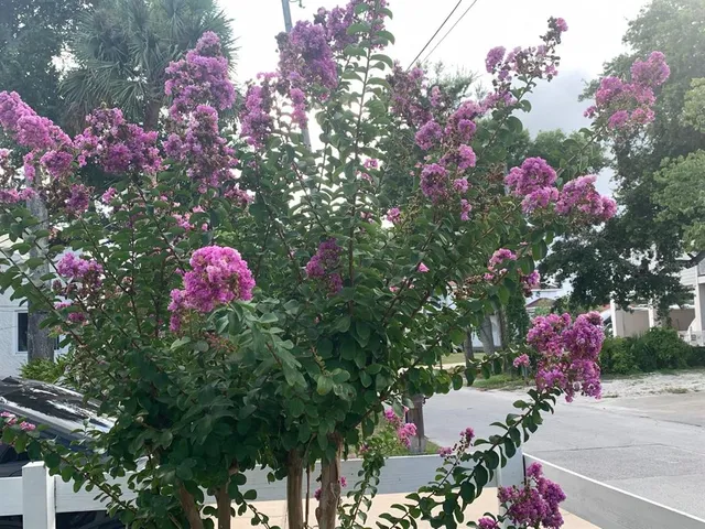 a kitchen with stainless steel appliances granite countertop a refrigerator a stove a sink a dining table and chairs with wooden floor