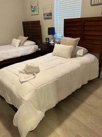 a close up of a plant in a garden