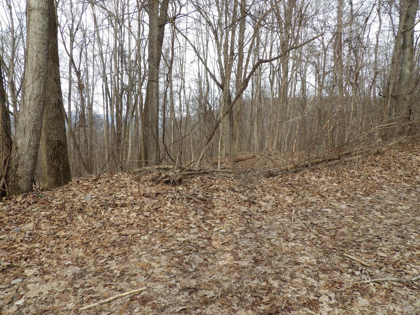 4 Fox Ridge Road, Unit 82 Pikeville, TN 37367 - Photo 12 of 12 20200123213949388320000000-o