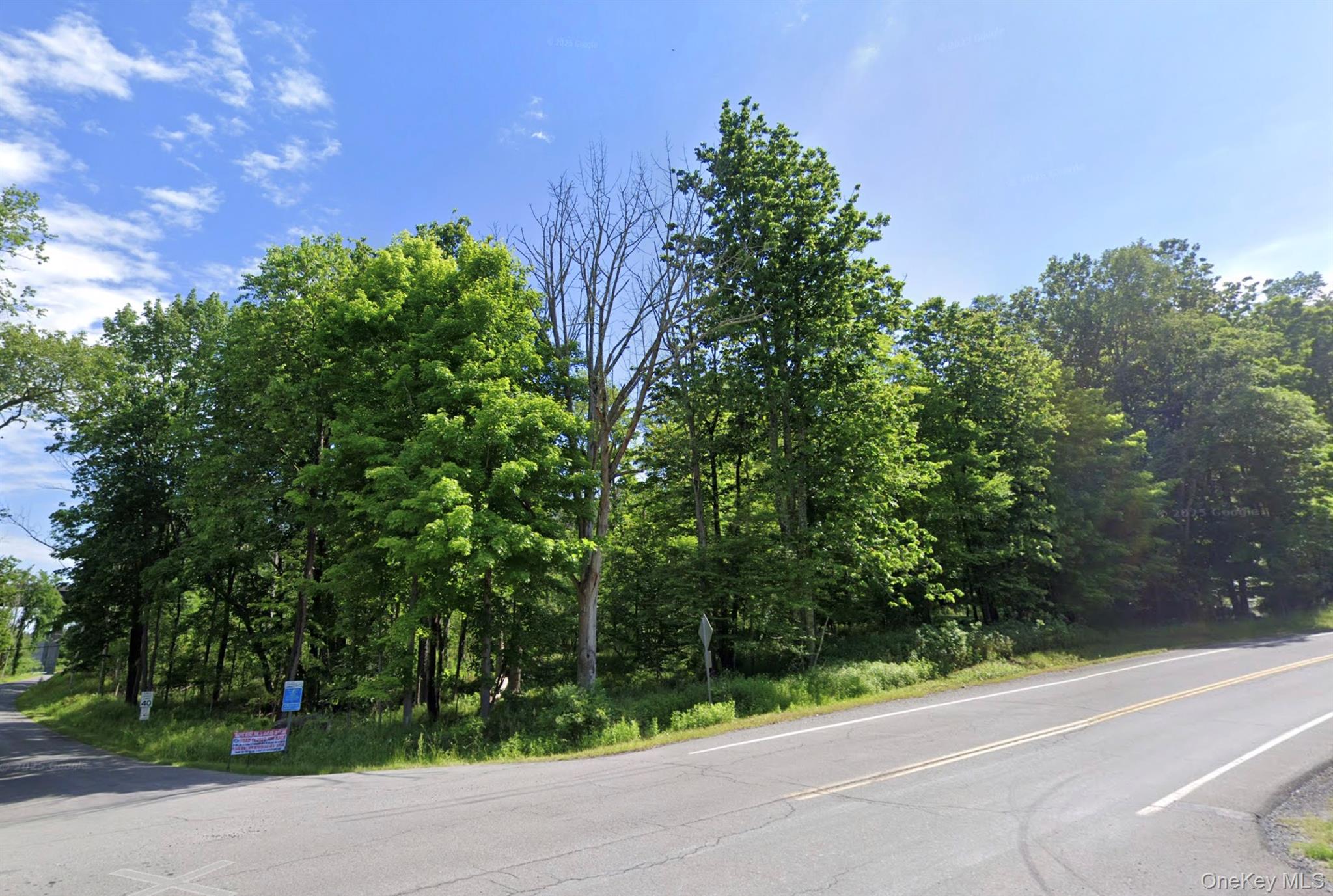 Edwards Road Rock Hill, NY 12775 - Photo 4 of 6