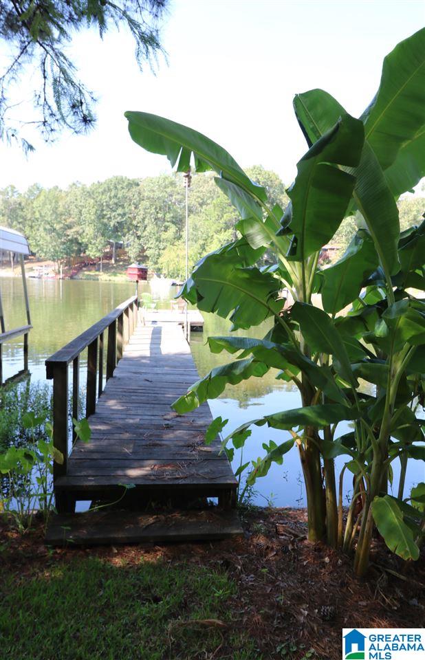 292 Arrowhead Road Cropwell, AL 35054 - Photo 46 of 49