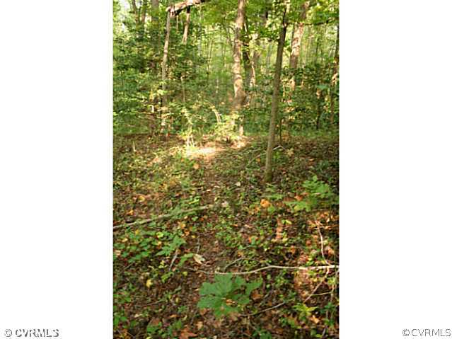 0 Edgar Road Ruther Glen, VA 22546 - Photo 8 of 12 Gallery Image 8