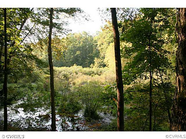 0 Edgar Road Ruther Glen, VA 22546 - Photo 10 of 12 Gallery Image 10