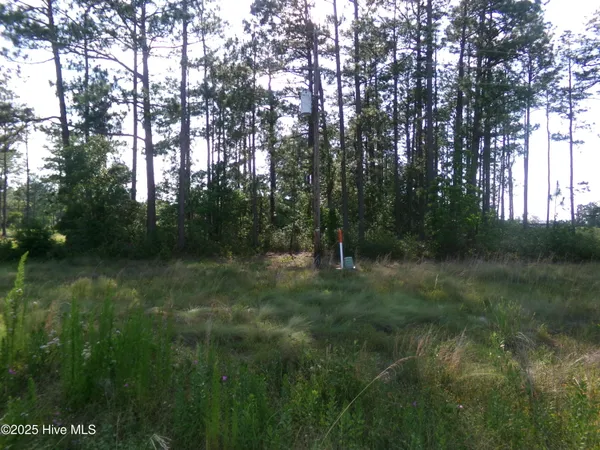 $23,500 | 35-38 Us 701 Highway North, Elizabethtown, NC 28337