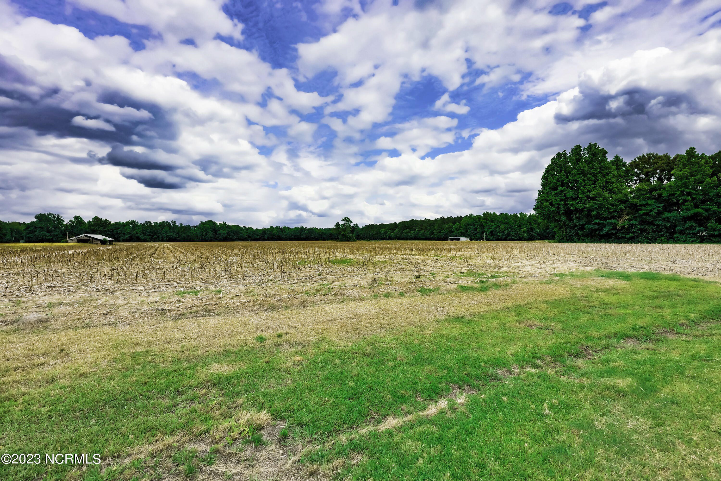 977 Van Eden Road Watha, NC 28478 - Photo 14 of 50 _K6A7810 (Custom)