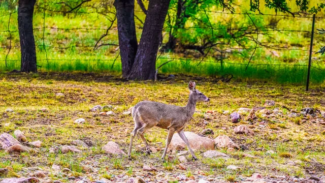 $1,720,000 | 3791 Highway 80, Bisbee, AZ 85603