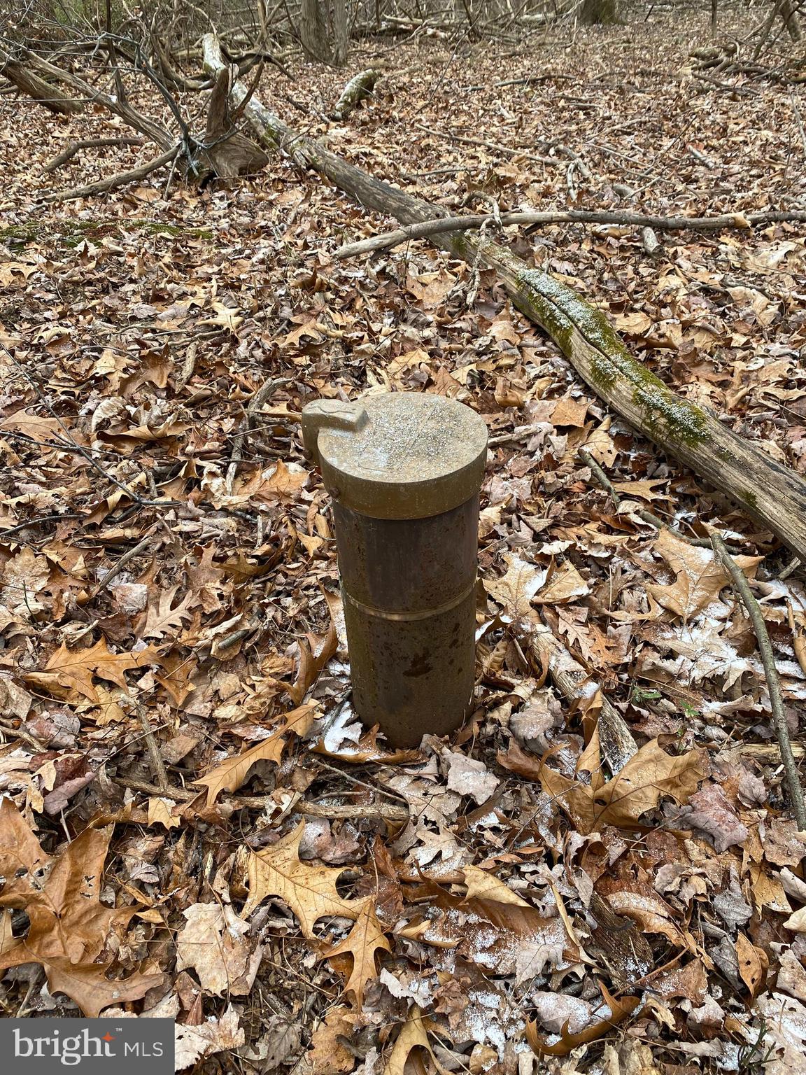 13701 Samhill Drive Mount Airy, MD 21771 - Photo 4 of 11