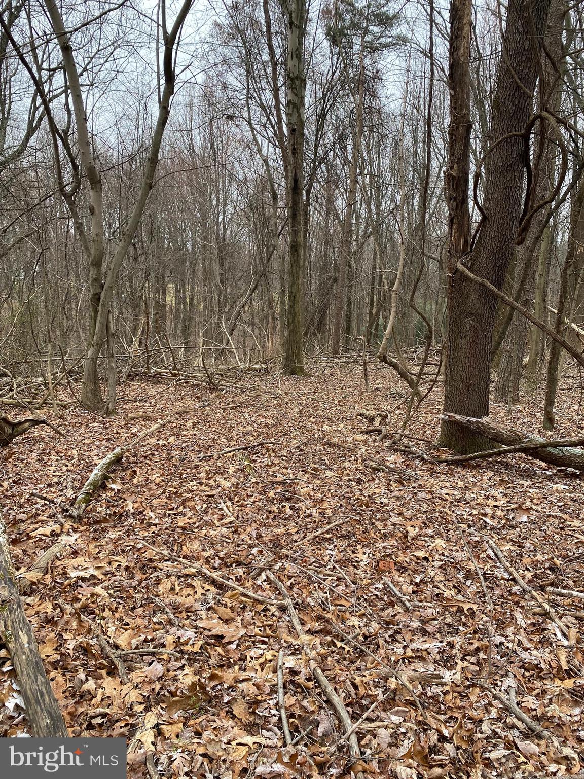 13701 Samhill Drive Mount Airy, MD 21771 - Photo 5 of 11