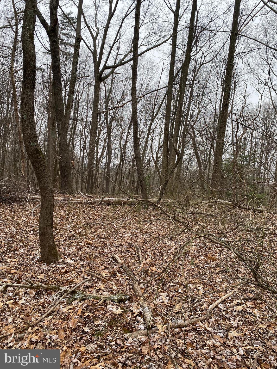 13701 Samhill Drive Mount Airy, MD 21771 - Photo 6 of 11