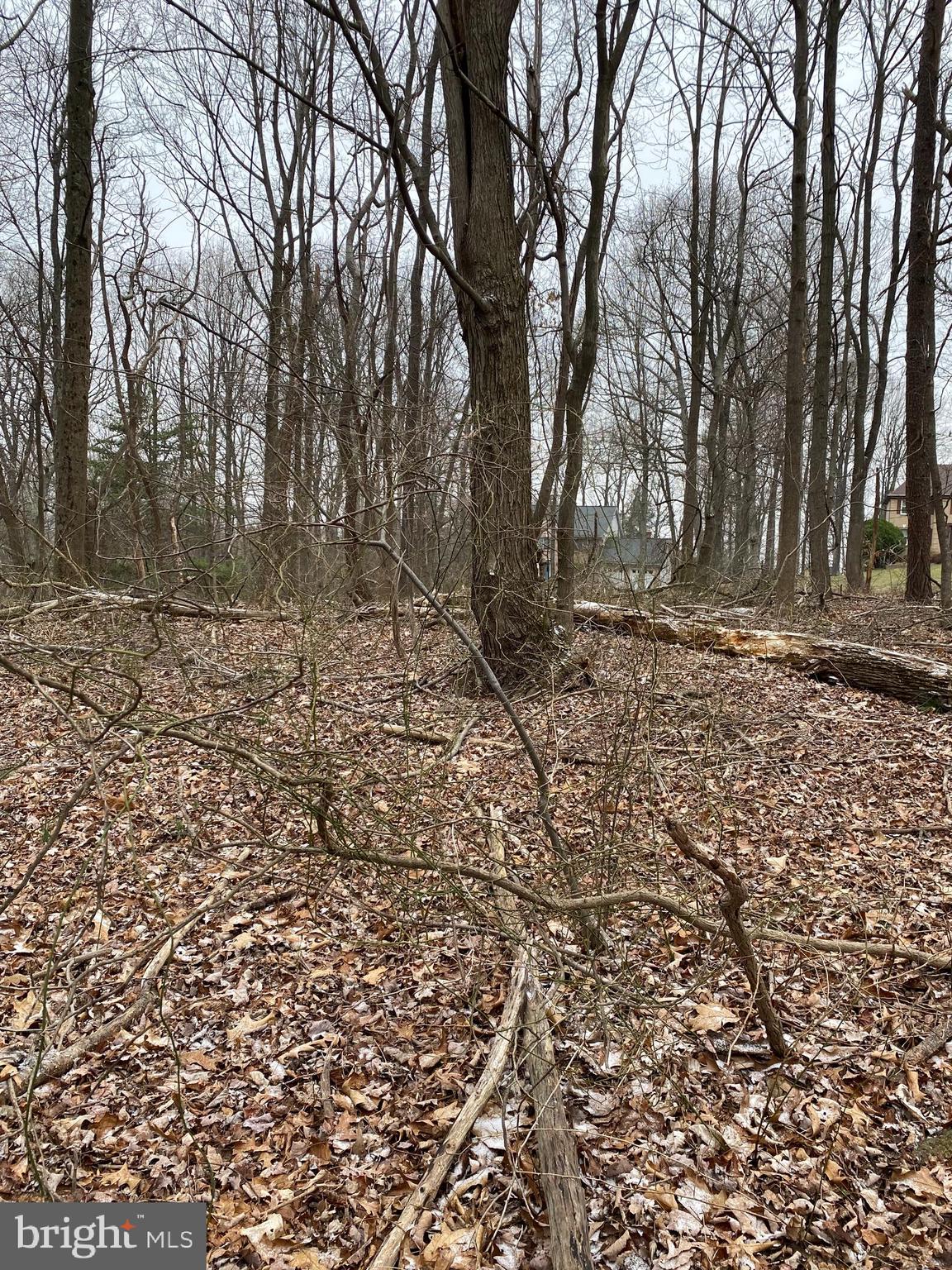 13701 Samhill Drive Mount Airy, MD 21771 - Photo 7 of 11