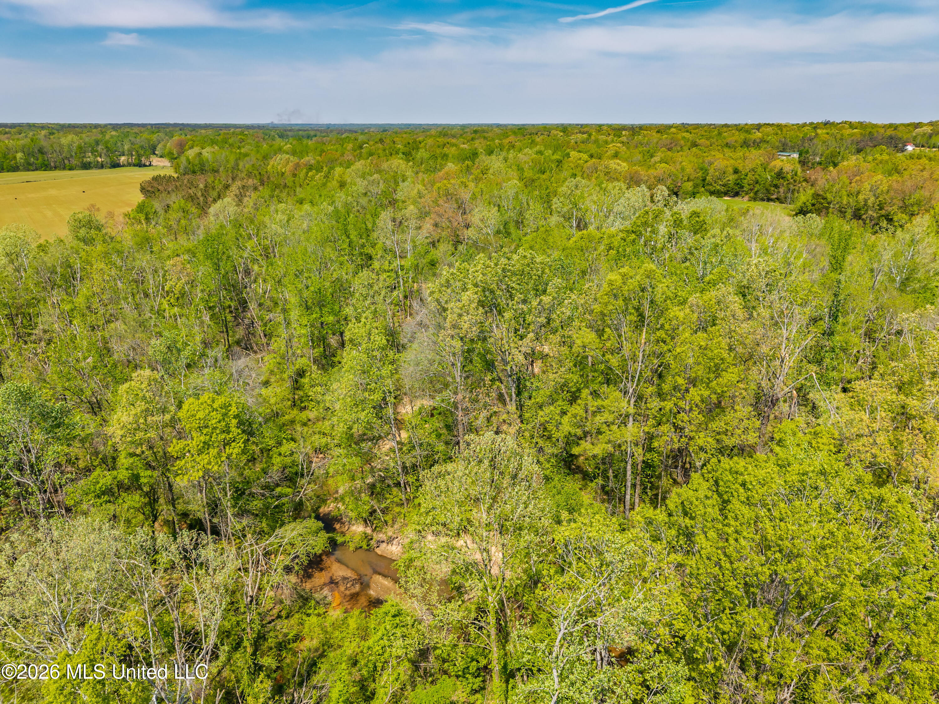 2836 Anthony Road Pope, MS 38658 - Photo 11 of 25 2857 Anthony Rd Pope MS_30ac_2026-04-08_