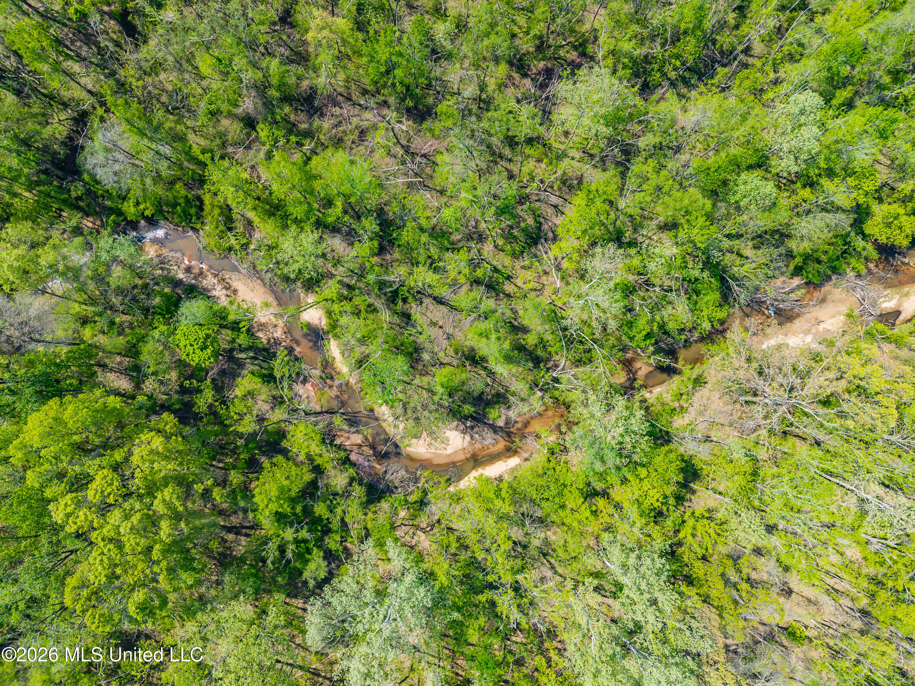 2836 Anthony Road Pope, MS 38658 - Photo 12 of 25 2857 Anthony Rd Pope MS_30ac_2026-04-08_
