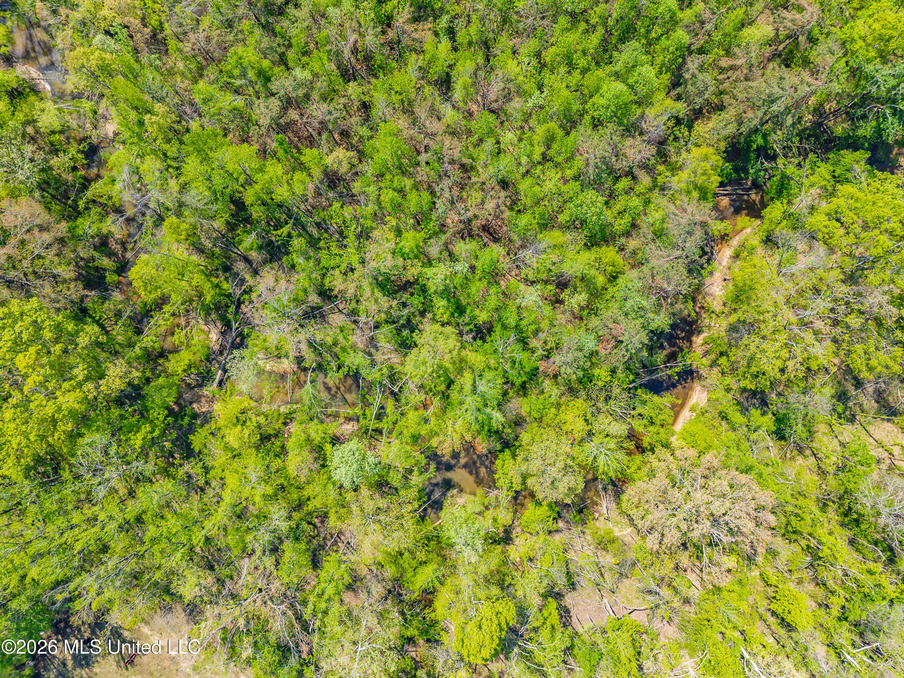 2836 Anthony Road Pope, MS 38658 - Photo 13 of 25 2857 Anthony Rd Pope MS_30ac_2026-04-08_