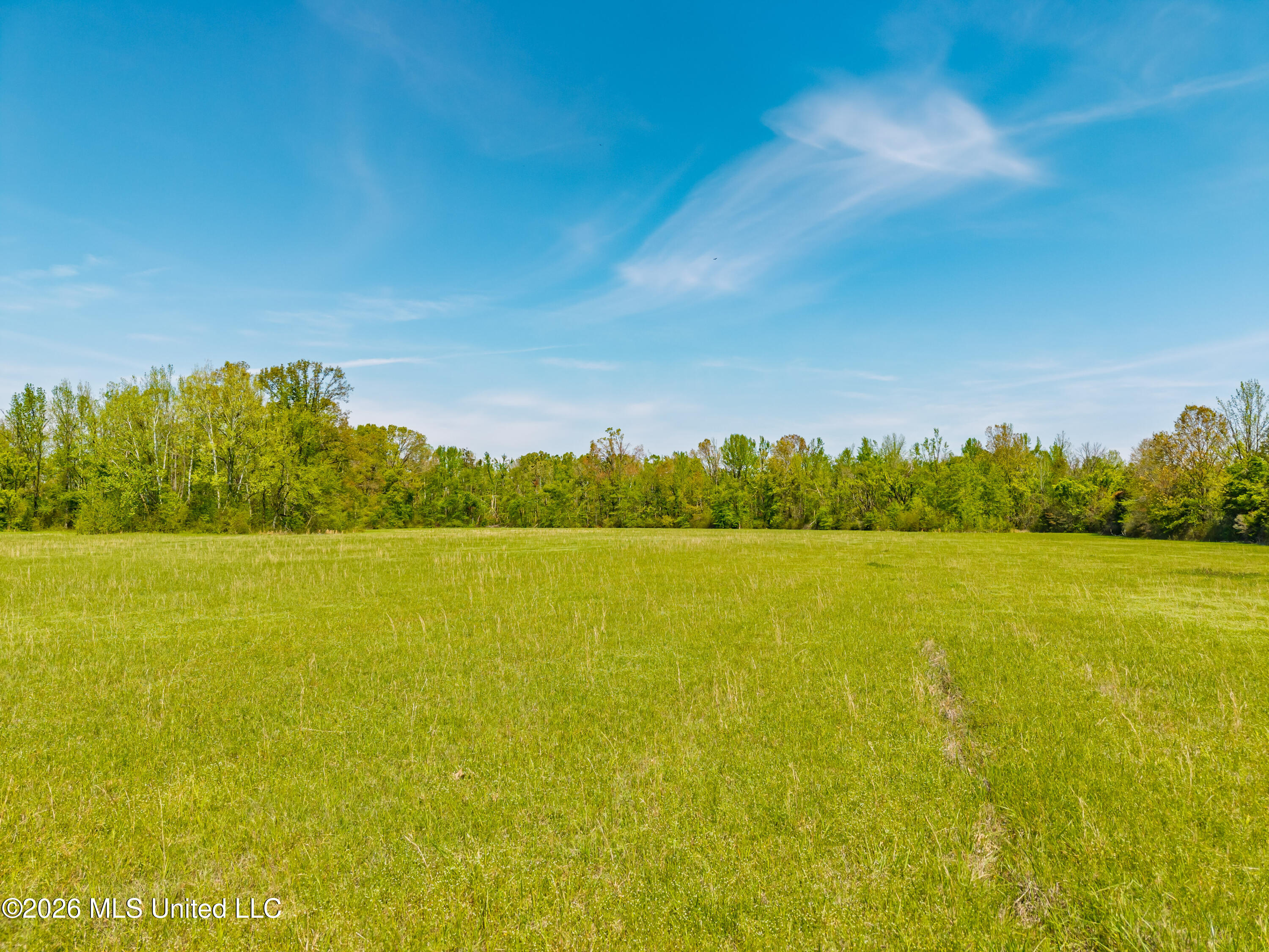 2836 Anthony Road Pope, MS 38658 - Photo 18 of 25 2857 Anthony Rd Pope MS_30ac_2026-04-08_